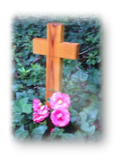 get.a.pet.cross.at.thepetcross.com